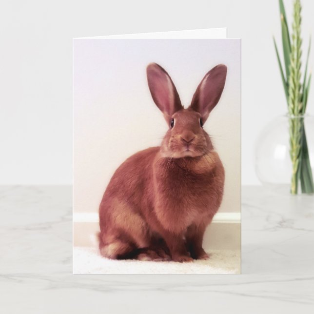 "¿Qué es la penina?" Tarjeta (Anverso)