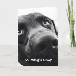 ¿Qué es lo nuevo? Tarjeta de saludo de Hola