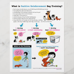 Qué es Pos Reinf. ¿Entrenamiento de perros? FLYERS