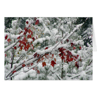 ¿Qué es rojo y blanco y nieve por todas partes?