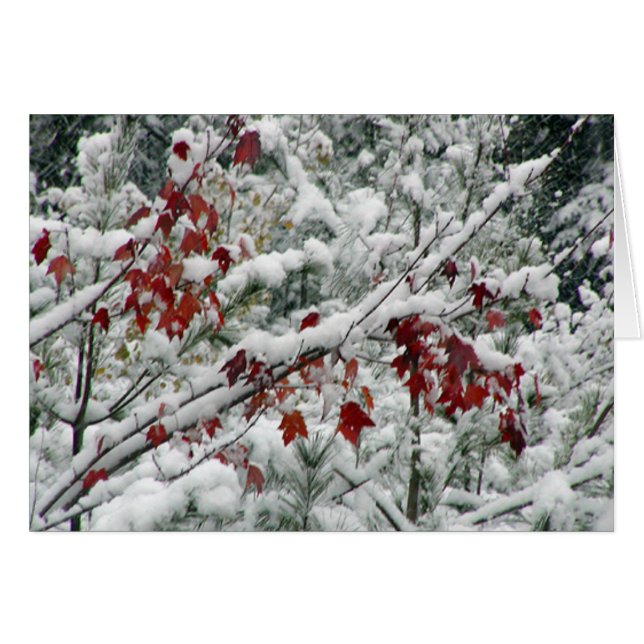 ¿Qué es rojo y blanco y nieve por todas partes? (Anverso (Horizontal))