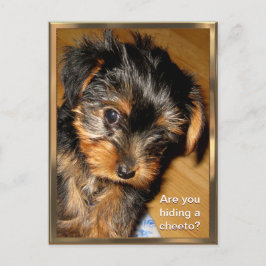 ¿Qué escondes? Postal de personalizable