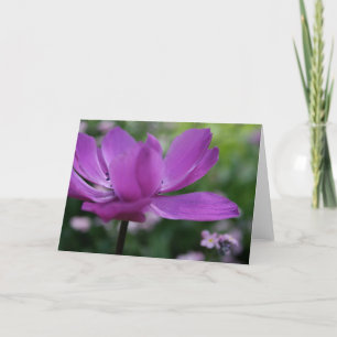 ¿Qué escondes? Tarjeta fotográfica floral de Anemo