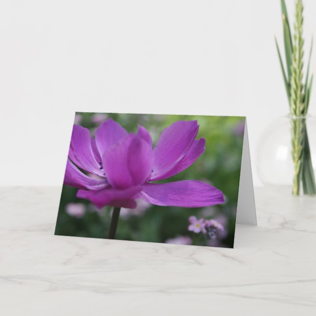 ¿Qué escondes? Tarjeta fotográfica floral de Anemo (Anverso)