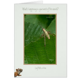 "¿Qué está pasando en tu cuello del bosque?