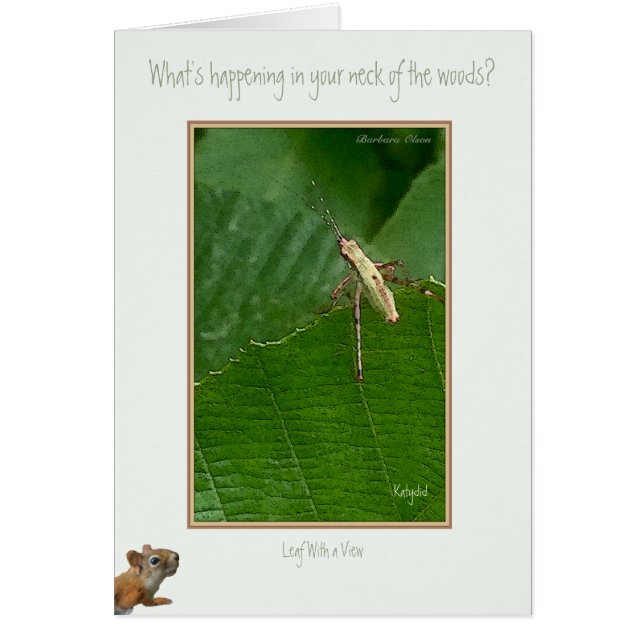 ¿"Qué está sucediendo en su rincón del mundo? (Frente)