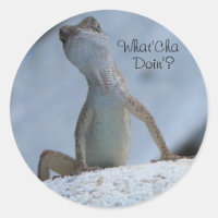 ¿Qué estás haciendo? Calcomanía de lagarto anolis 