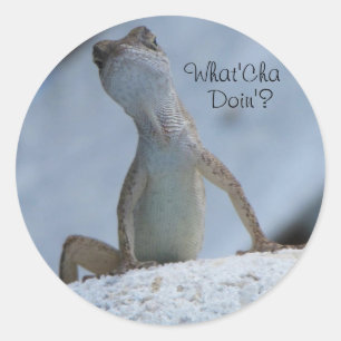 ¿Qué estás haciendo? Calcomanía de lagarto anolis 
