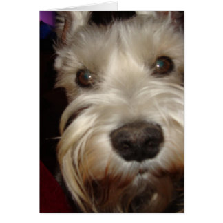 ¿Qué estás mirando?