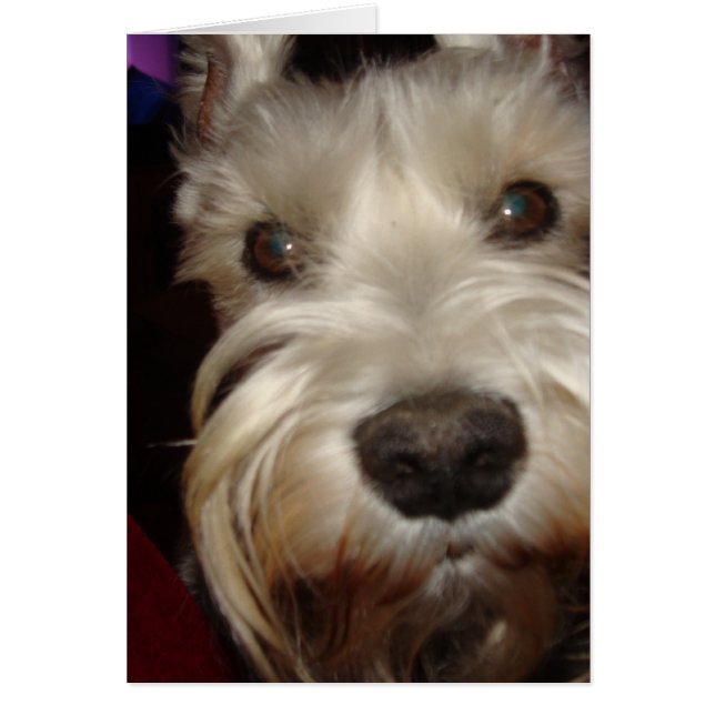 ¿Qué estás mirando? (Frente)