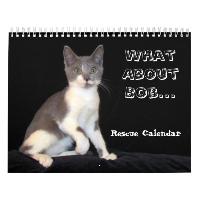 ¿Qué hay del calendario Bob Kitten (gato)? (Tapa)