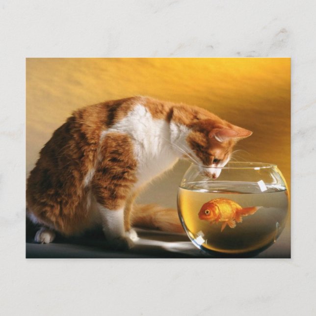 ¿Qué Hay Para Cenar? Postal (Anverso)