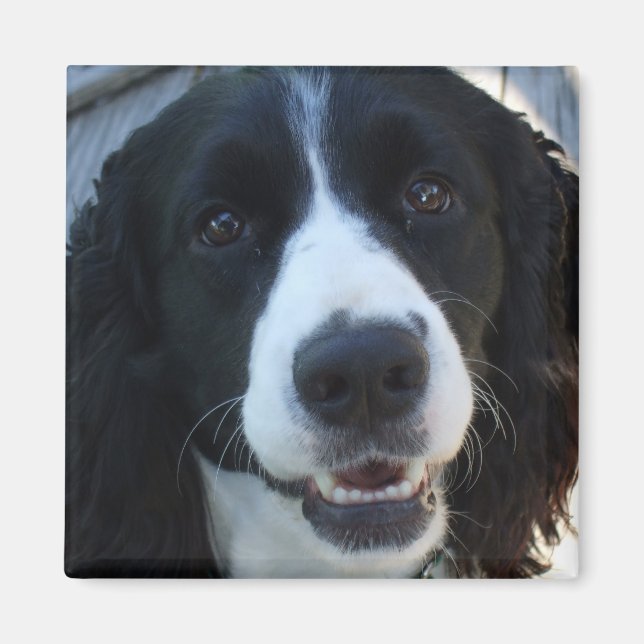 Qué imán facial (Frente)