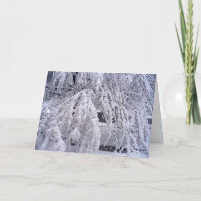 Que la tarjeta de nieve (Anverso)