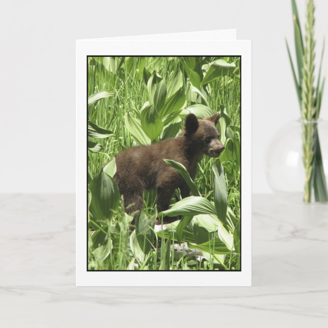 Que los osos sean la tarjeta de osos (Anverso)