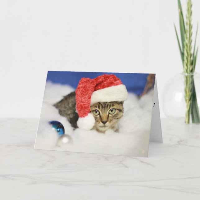 Que Nieva la tarjeta de Navidades gatos (Anverso)