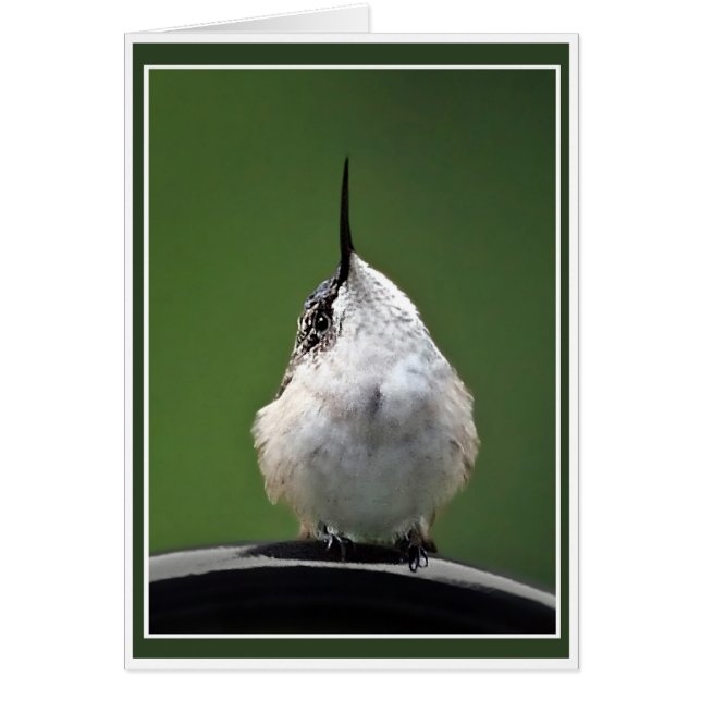 ¿Qué pasa? (Frente)