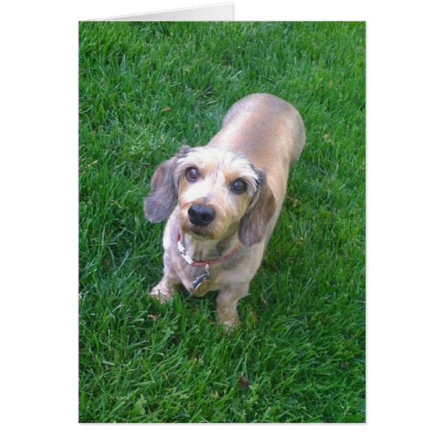 ¿Qué pasa? (Frente)