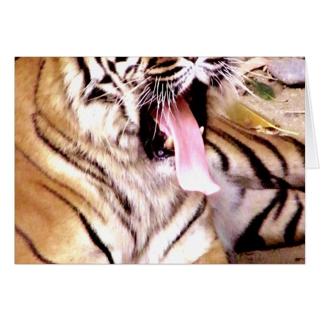 ¿Qué pasa? (Anverso (Horizontal))