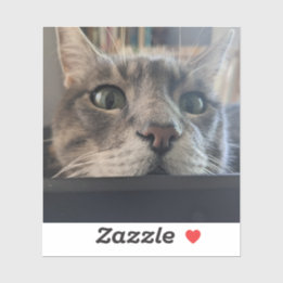 ¿Qué pasa, Cat? pegatina de vinilo de 3"