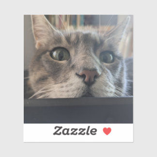 ¿Qué pasa, Cat? pegatina de vinilo de 3"