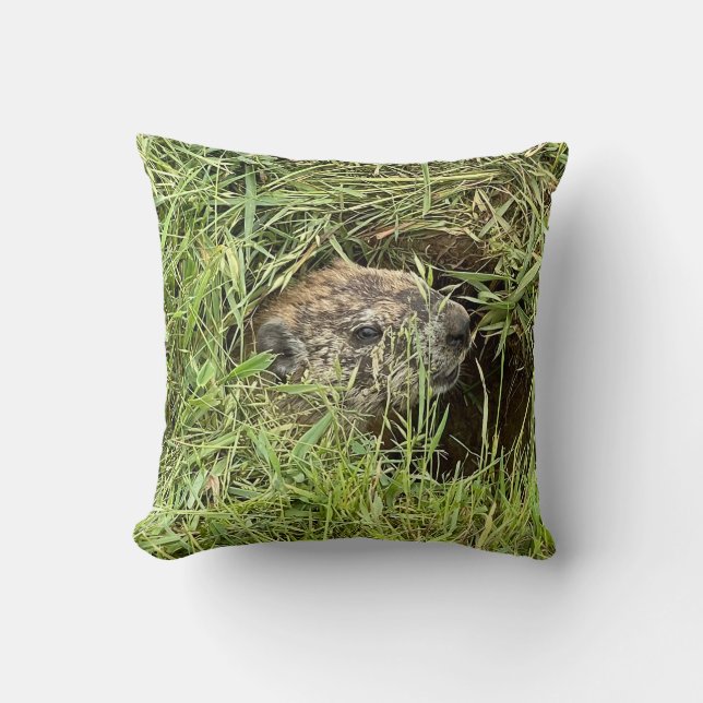 ¿Qué pasa? Cojín (Anverso)