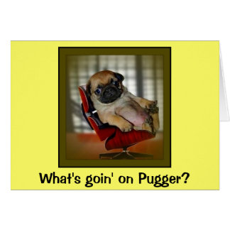 ¿Qué pasa con Pugger?