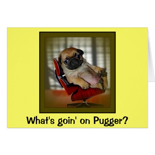 ¿Qué pasa con Pugger? (Anverso (Horizontal))