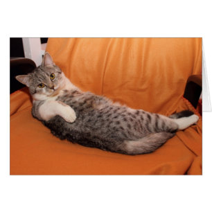 ¿Qué pasa? ¿Listo Para Cenar?