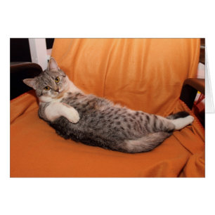 ¿Qué pasa? ¿Listo Para Cenar?