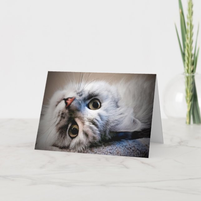 ¿Qué pasa? Pensar en tu tarjeta (Anverso)