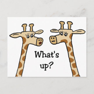 ¿Qué pasa? Postales de Giraffe