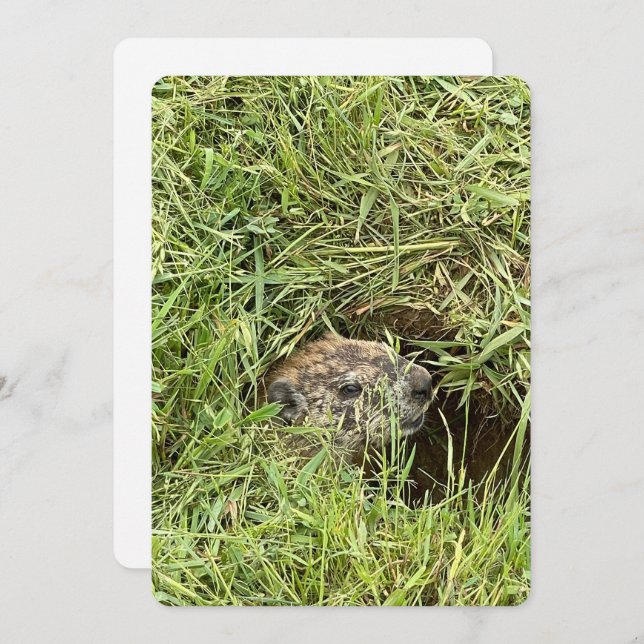 ¿Qué pasa? Tarjeta de Navidad plana (Anverso / Reverso)