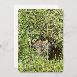 ¿Qué pasa? Tarjeta de Navidad plana