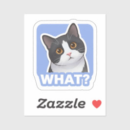 ¿QUÉ? Pegatina de gato divertido: meme de gato con
