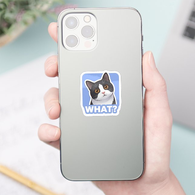 ¿QUÉ? Pegatina de gato divertido: meme de gato con (Teléfono)
