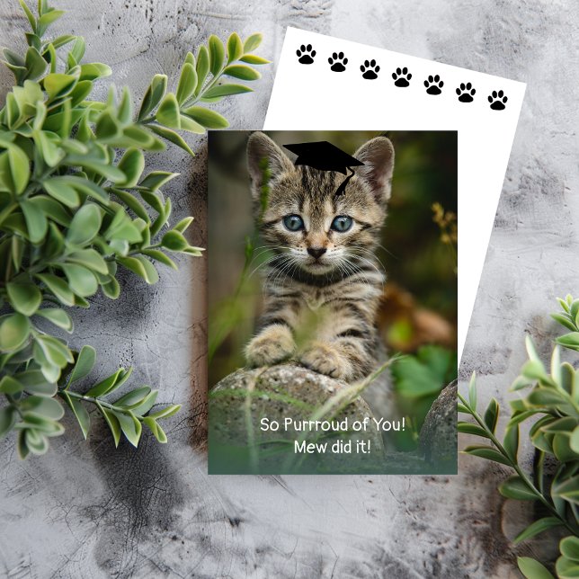 ¡Qué Púrpura! Gatito de graduación (Subido por el creador)