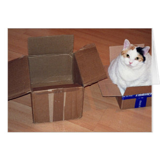 ¿Qué quieres decir con que necesito un tamaño más 