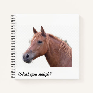 ¿Qué relinchas? Cuaderno de amante de caballos