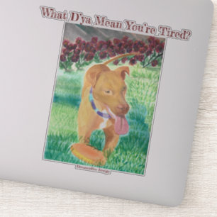 ¿Qué significa que estás cansado? Pegatina