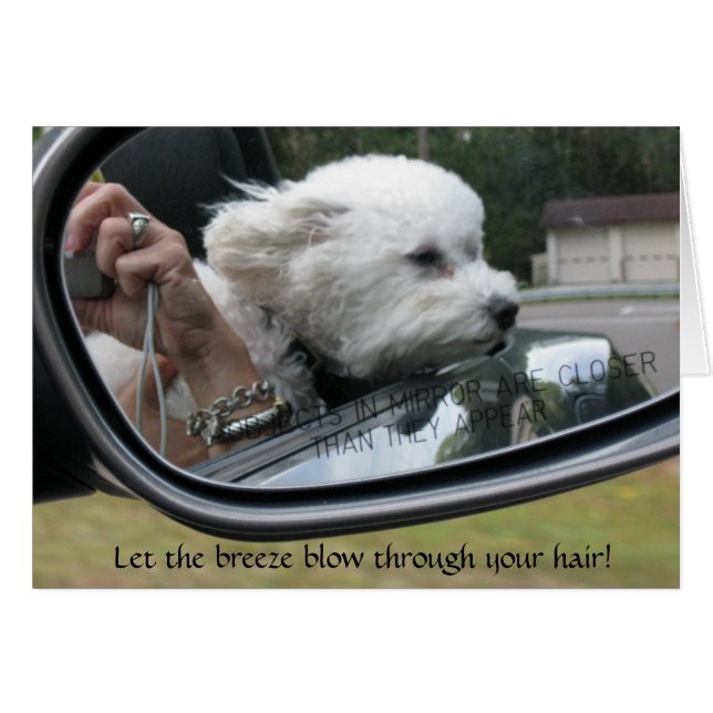 "Que sople la brisa por el pelo" (Anverso (Horizontal))