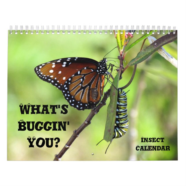 ¿Qué te pasa? - Calendario de insectos - Edición 1 (Tapa)