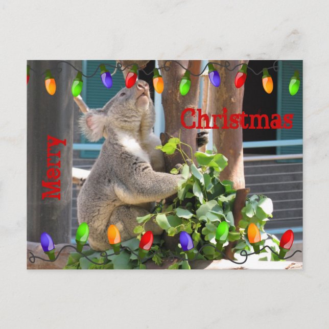 Que tus luces brillen. Postal (Anverso)