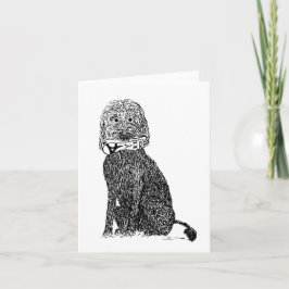 ¿Qué zapato? Tarjeta