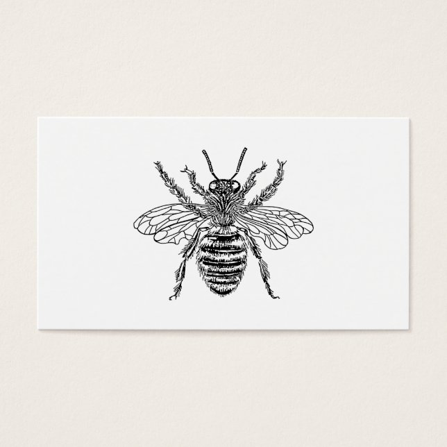 Queen Bee (Frente)