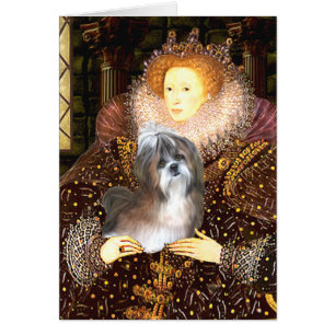 Queen - Shih Tzu 8 (marrón-blanco)
