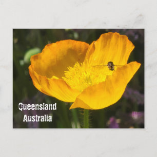Queensland Australia - Tarjeta postal de flor y ab