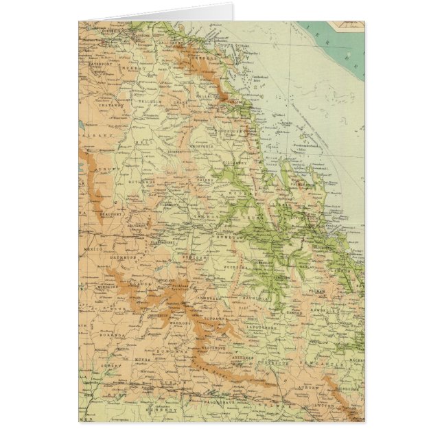 Queensland oriental (Frente)