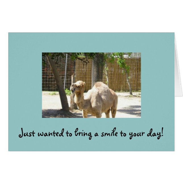 Querer traer una sonrisa a su día (Anverso (Horizontal))