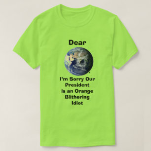 Querida camiseta básica del mundo